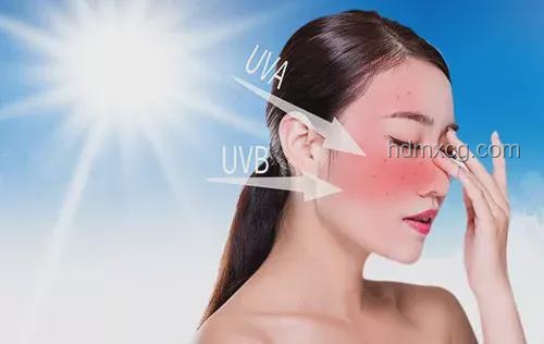 那尔那茜之旅：我的自然护肤探索与感悟